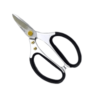 Scissors small blades